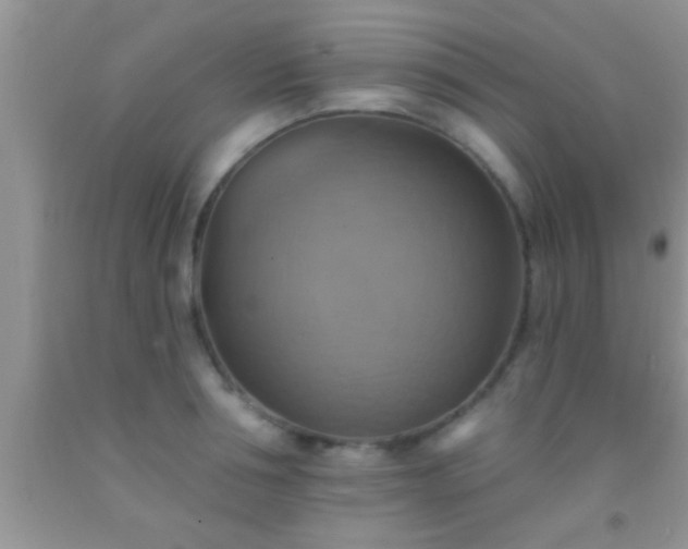 X0000092110994200709191324