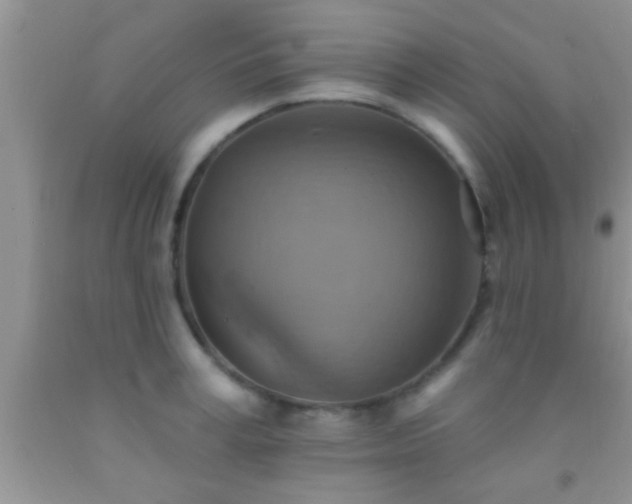 X0000092110995200709191324