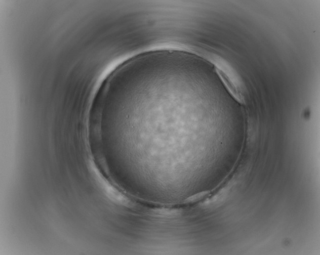 X0000092110996200709191324