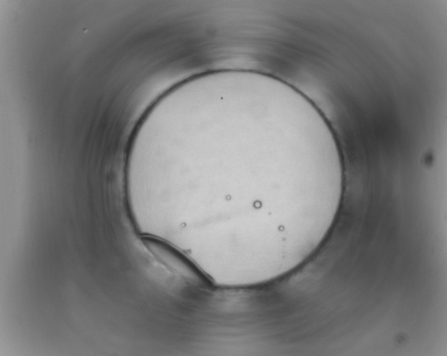 X0000092111000200709191324