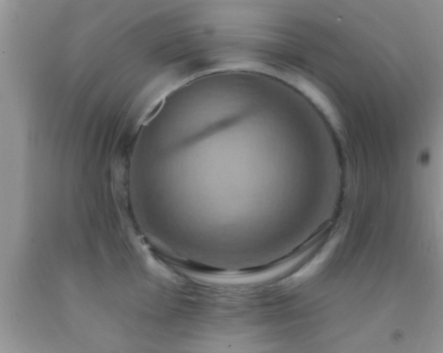 X0000092111001200709191324