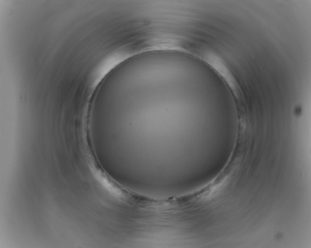 X0000092111002200709191324