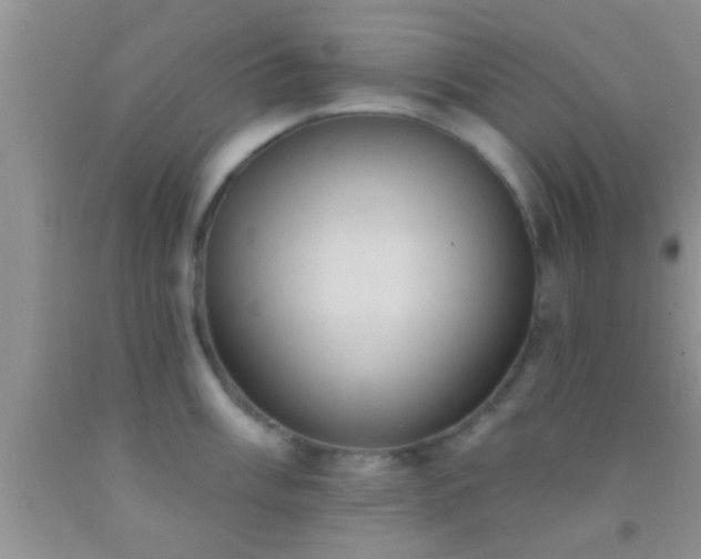 X0000092111003200709191324