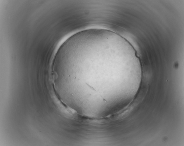 X0000092111004200709191324