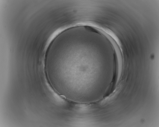 X0000092111005200709191324