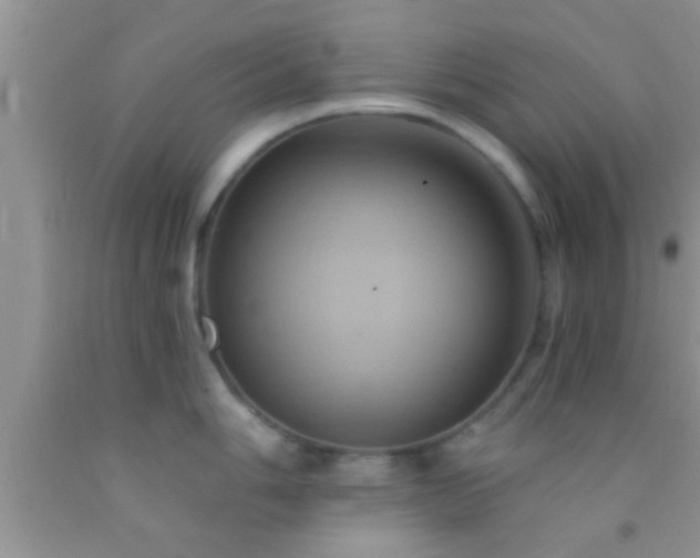 X0000092111006200709191324