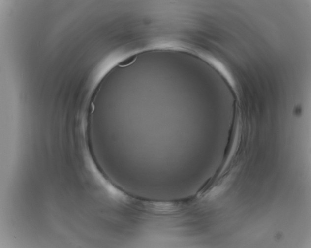 X0000092111007200709191324