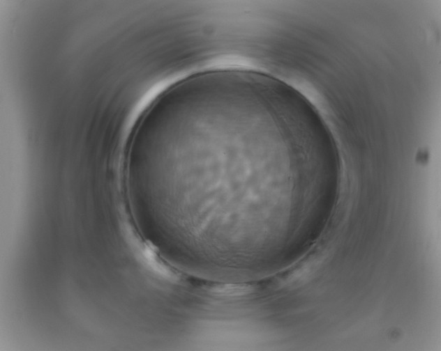 X0000092111008200709191324