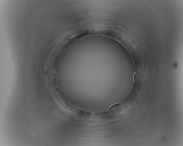 X0000092111009200709191323