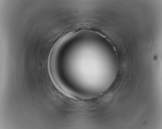 X0000092111010200709191323