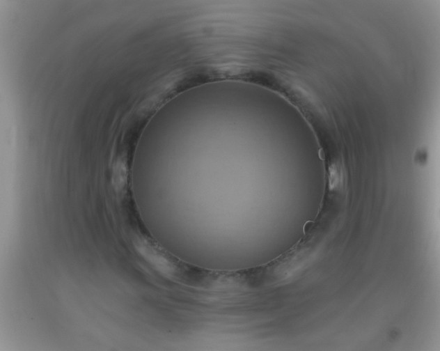 X0000092111011200709191323