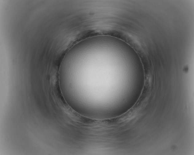 X0000092111012200709191323