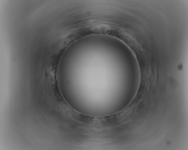 X0000092111013200709191323