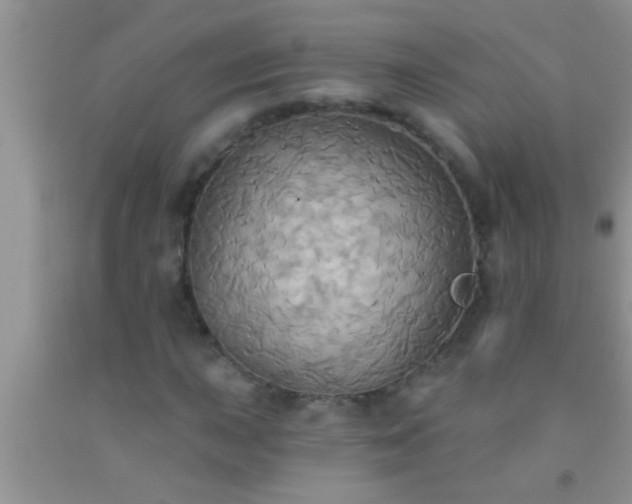 X0000092111015200709191323