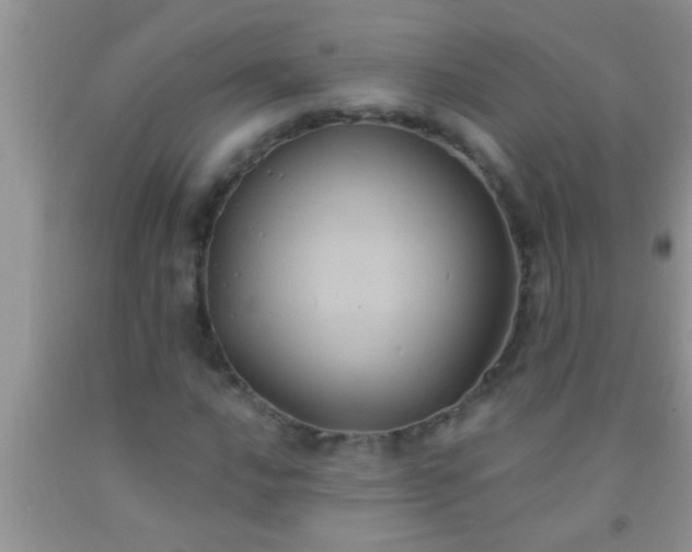 X0000092111016200709191323