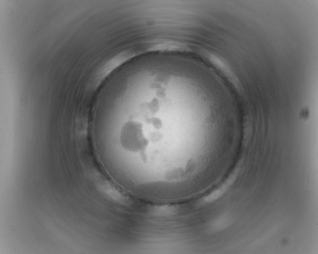 X0000092111017200709191323