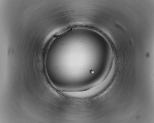 X0000092111018200709191323