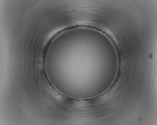 X0000092111019200709191323