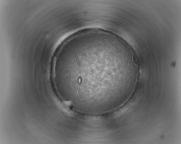 X0000092111020200709191323