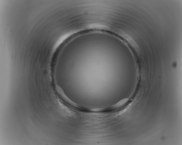 X0000092111022200709191323