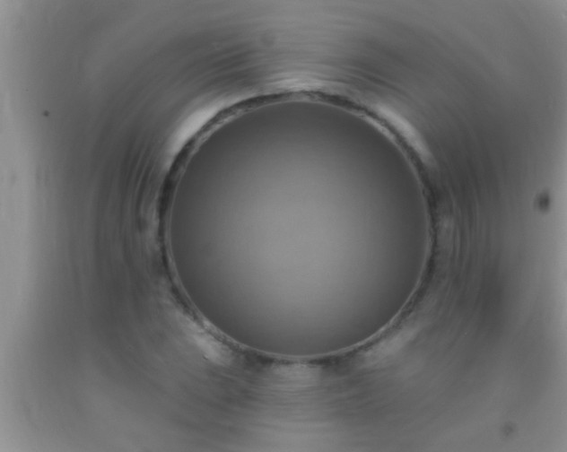 X0000092111023200709191323