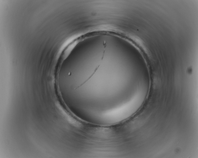 X0000092111024200709191323