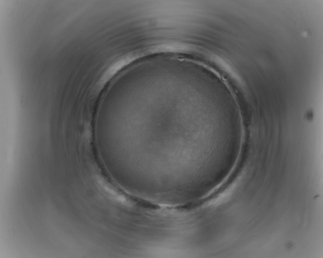 X0000092111025200709191323