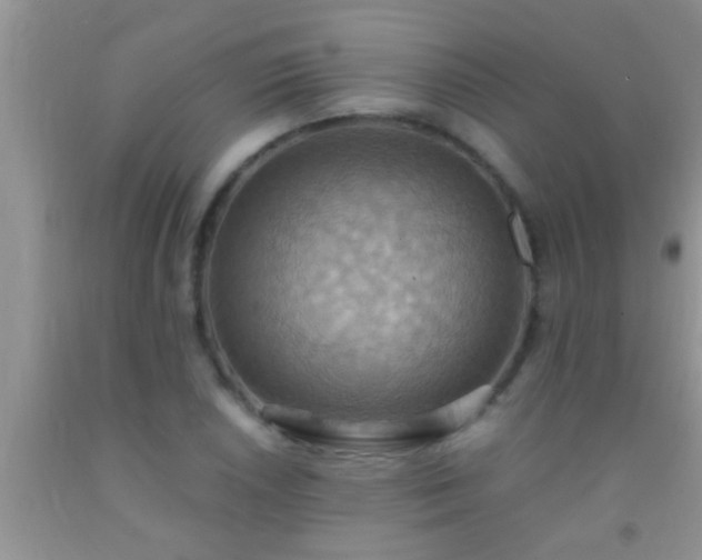 X0000092111026200709191323