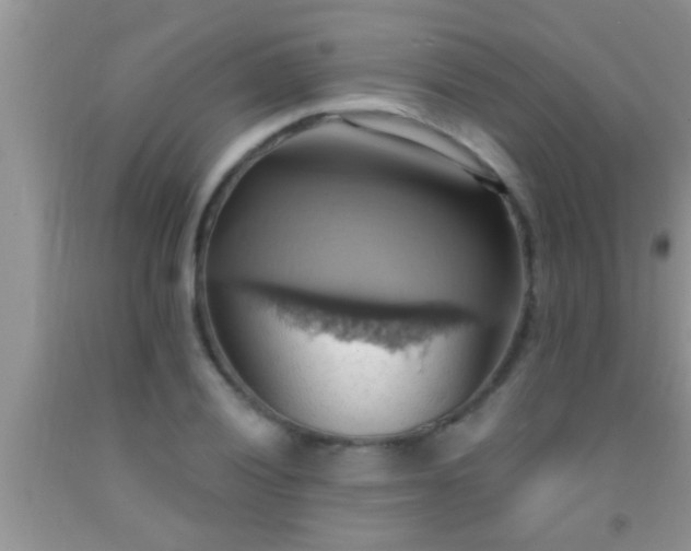 X0000092111028200709191323