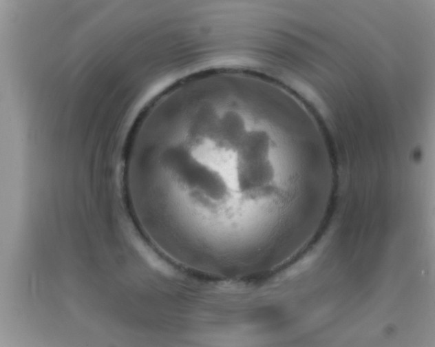 X0000092111029200709191323