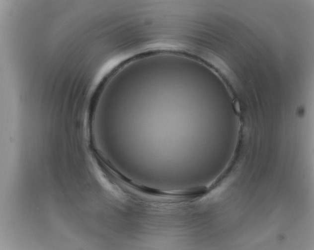 X0000092111030200709191323