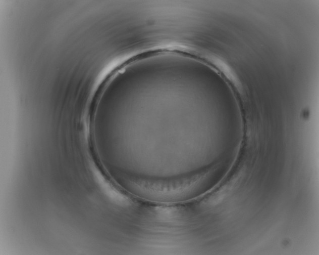 X0000092111032200709191323