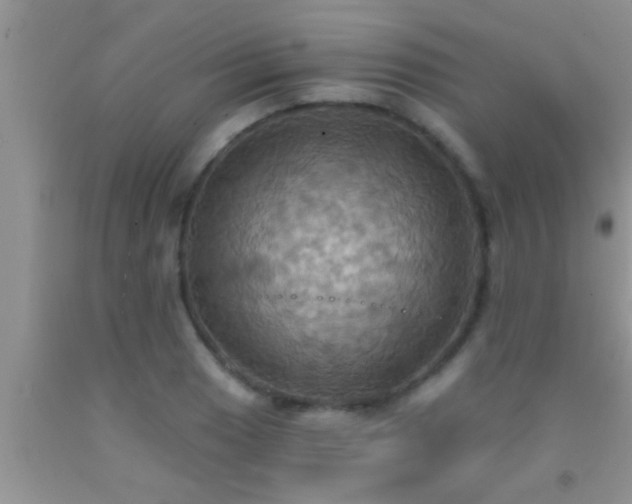 X0000092111033200709191323