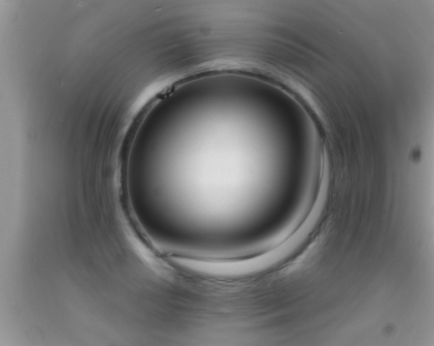 X0000092111034200709191323