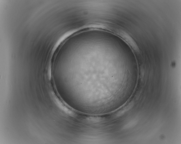 X0000092111036200709191323