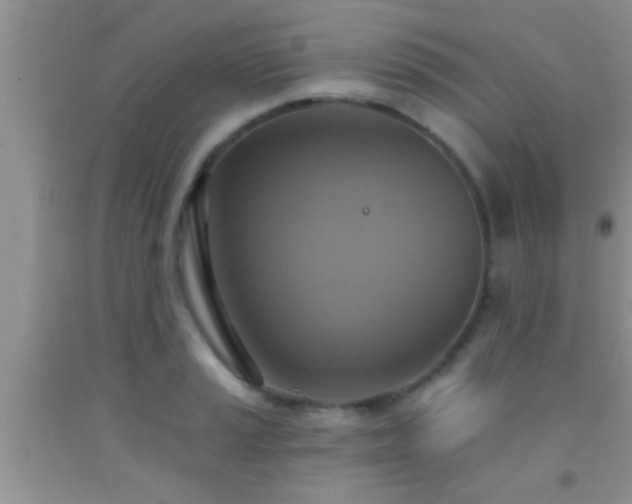 X0000092111037200709191323