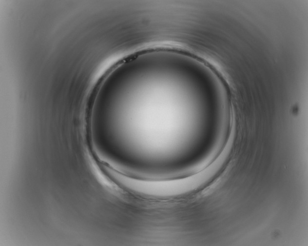 X0000092111038200709191323