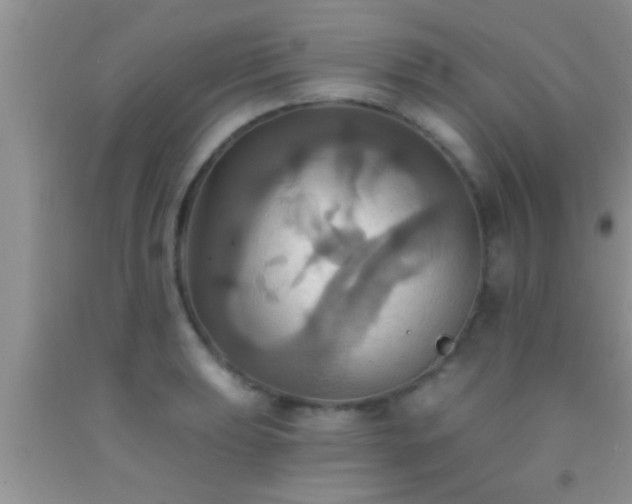 X0000092111039200709191324