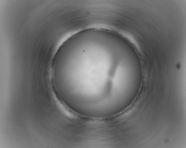 X0000092111040200709191324