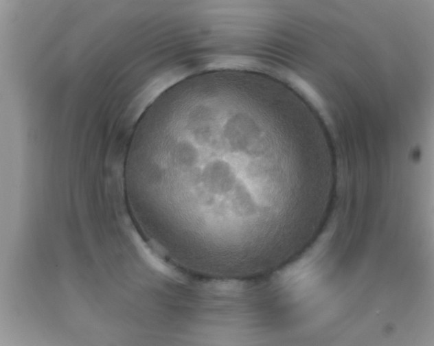 X0000092111041200709191324