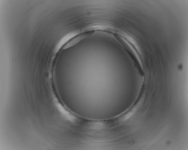 X0000092111042200709191324