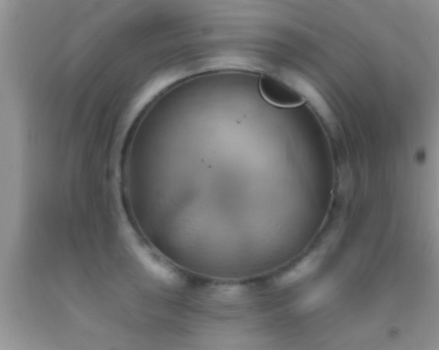 X0000092111043200709191324