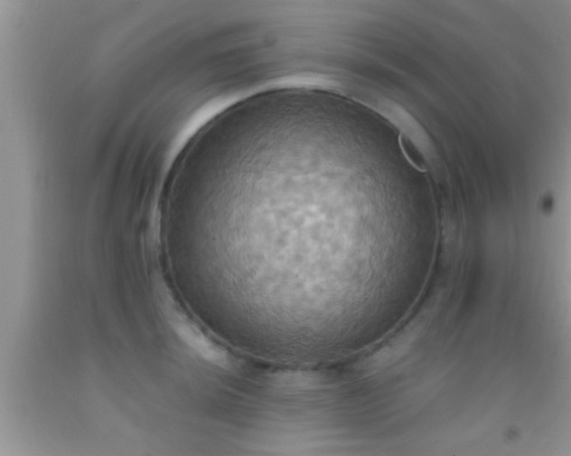 X0000092111044200709191324