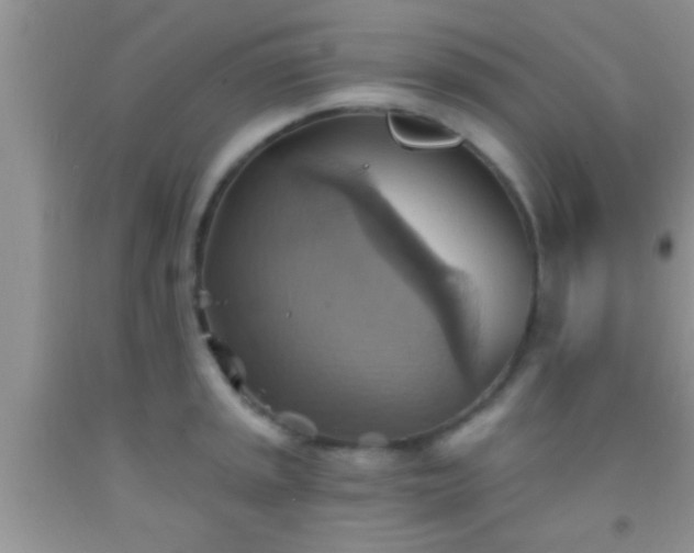 X0000092111045200709191324