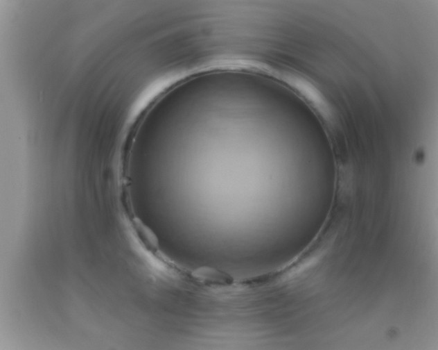 X0000092111046200709191324