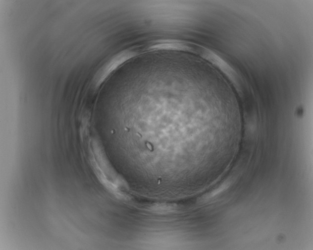 X0000092111049200709191324