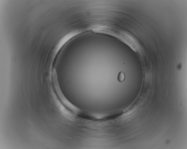 X0000092111050200709191324