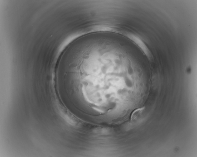 X0000092111051200709191324