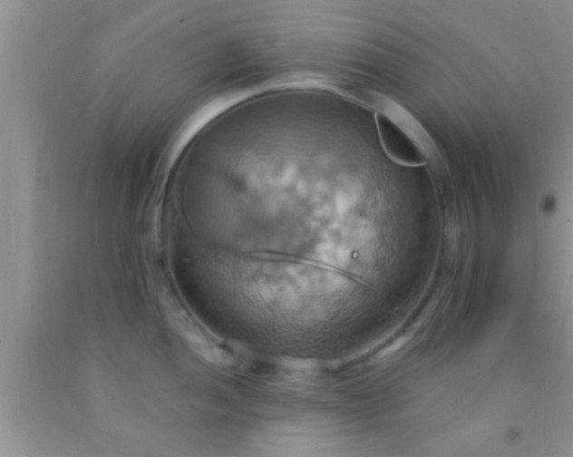 X0000092111052200709191324