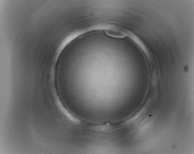 X0000092111053200709191324